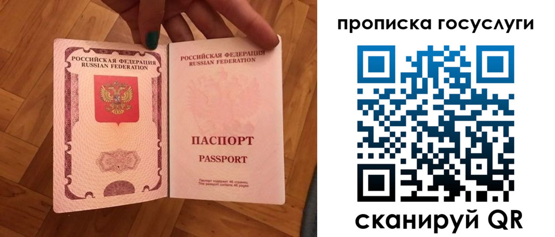 где прописаться в Электрогорске